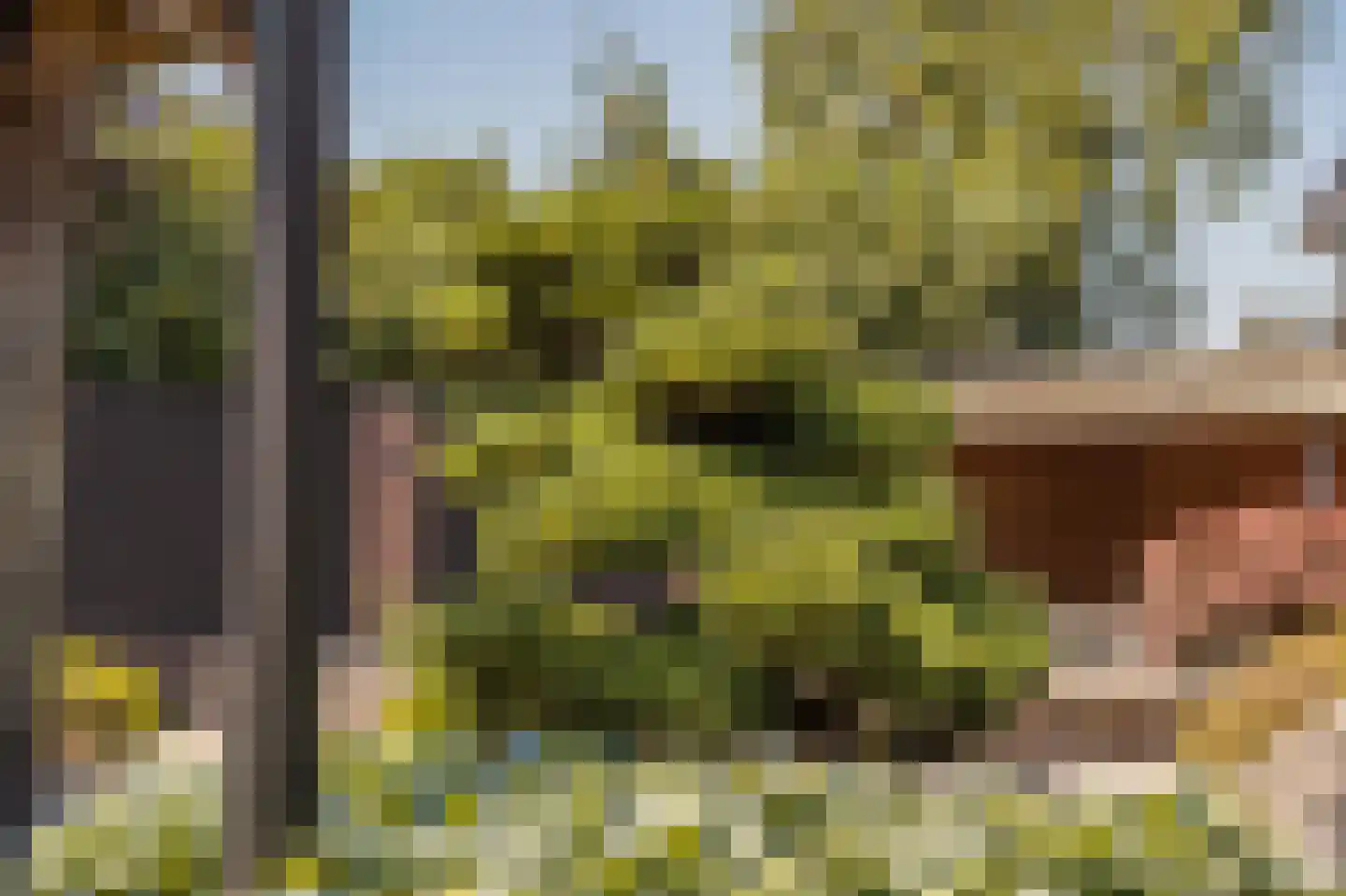 Kon Wilhelminaweg 82 Amerongen thumbnail 42