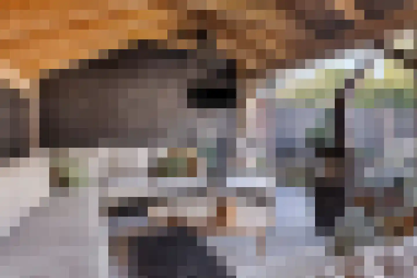 Kon Wilhelminaweg 82 Amerongen thumbnail 43