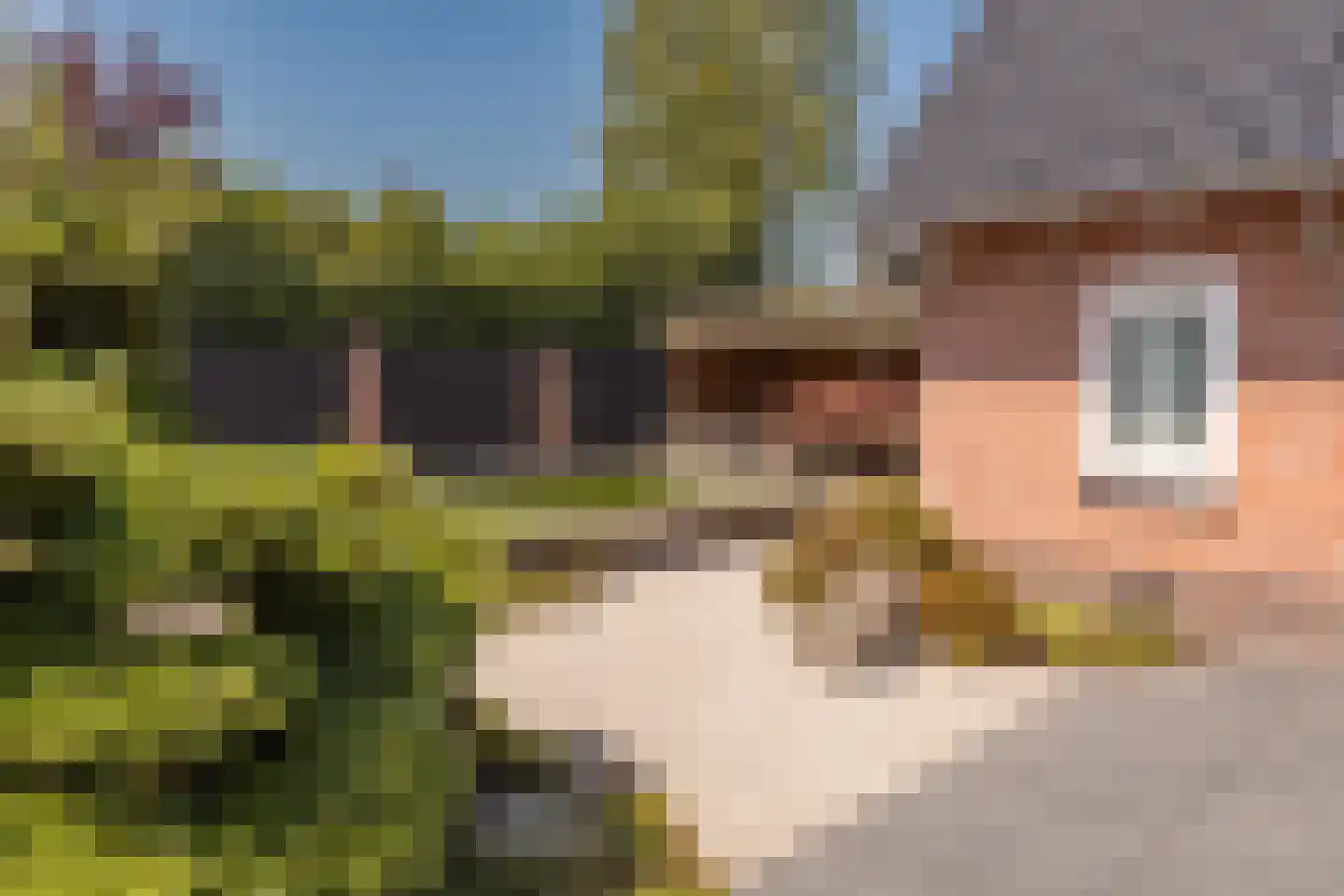 Kon Wilhelminaweg 82 Amerongen thumbnail 46