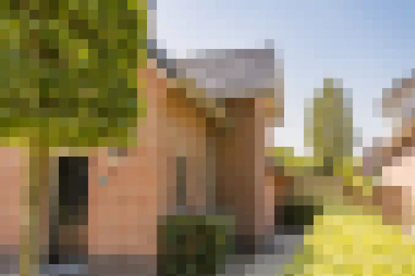 Kon Wilhelminaweg 82 Amerongen thumbnail 49