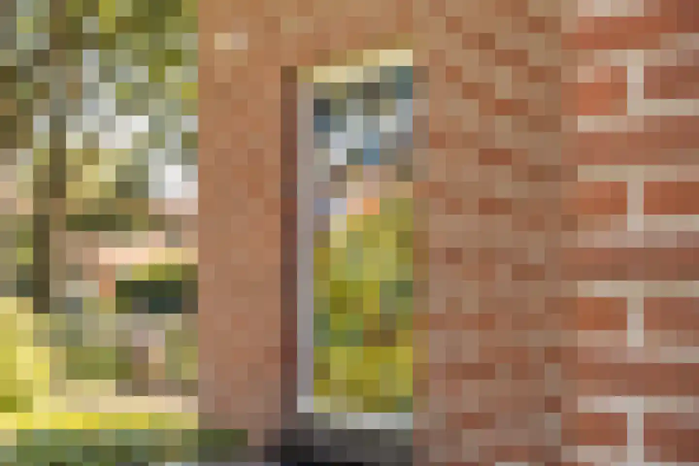 Kon Wilhelminaweg 82 Amerongen thumbnail 53