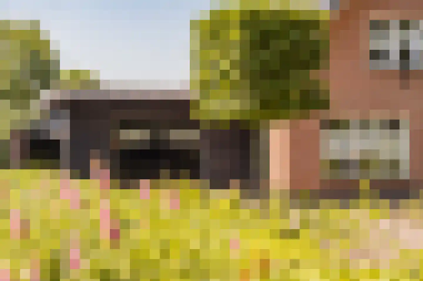 Kon Wilhelminaweg 82 Amerongen thumbnail 57
