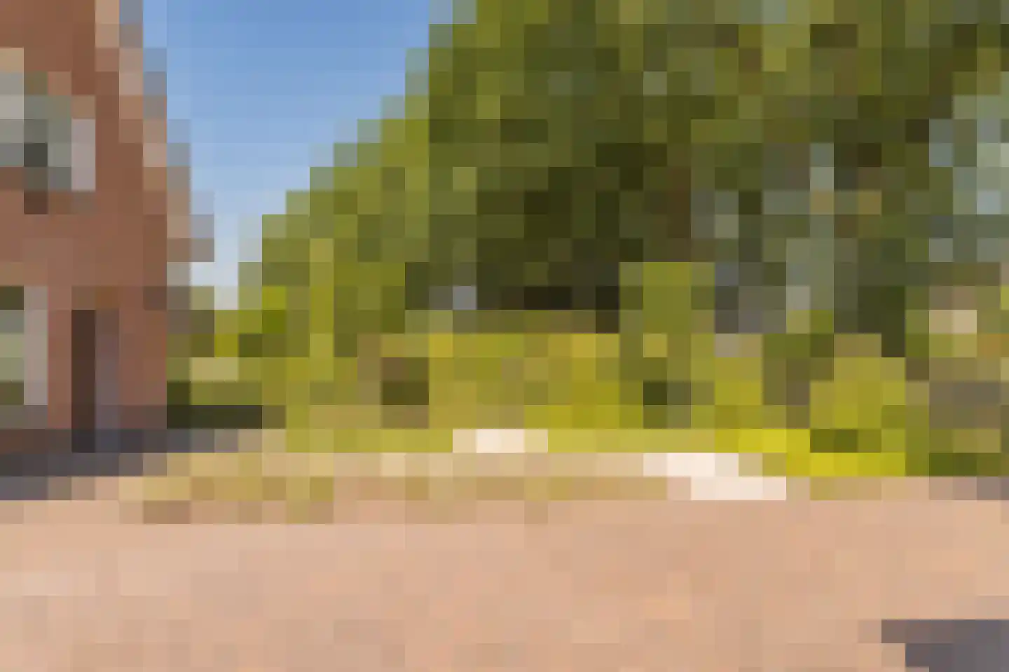 Kon Wilhelminaweg 82 Amerongen thumbnail 61