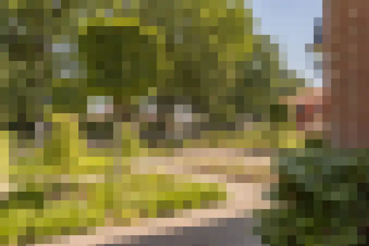 Kon Wilhelminaweg 82 Amerongen thumbnail 62