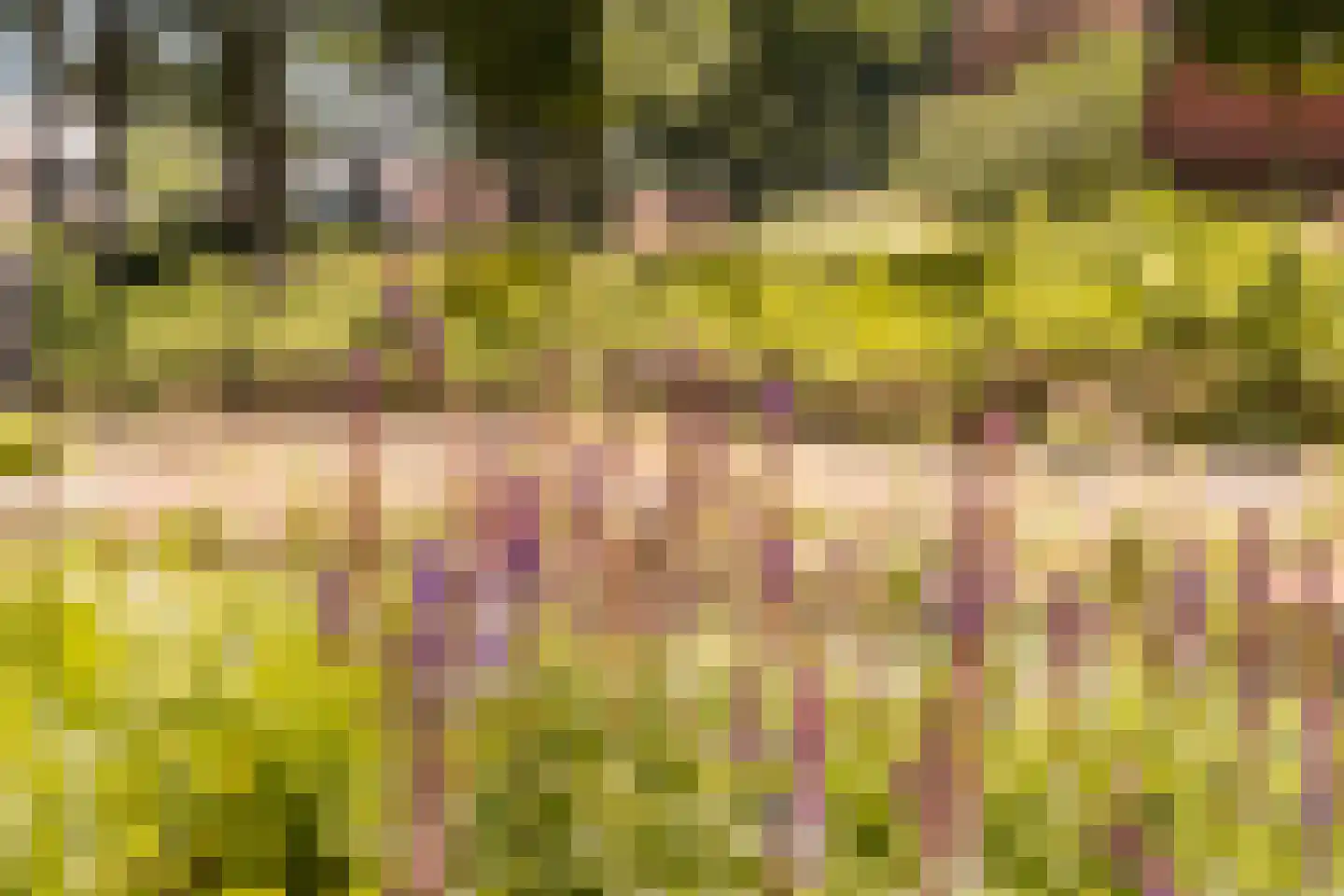 Kon Wilhelminaweg 82 Amerongen thumbnail 63