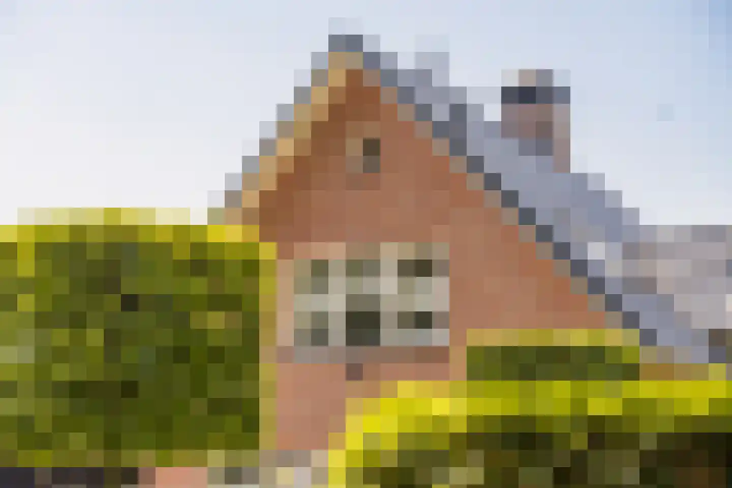 Kon Wilhelminaweg 82 Amerongen thumbnail 64