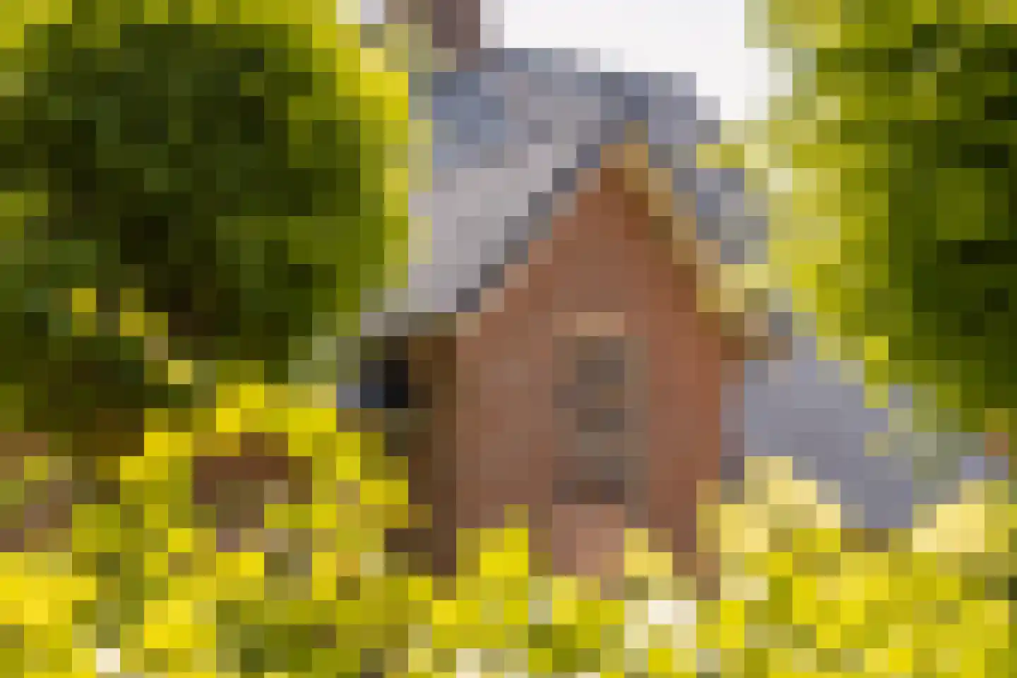 Kon Wilhelminaweg 82 Amerongen thumbnail 65