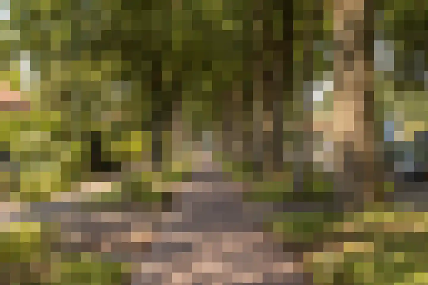 Kon Wilhelminaweg 82 Amerongen thumbnail 66