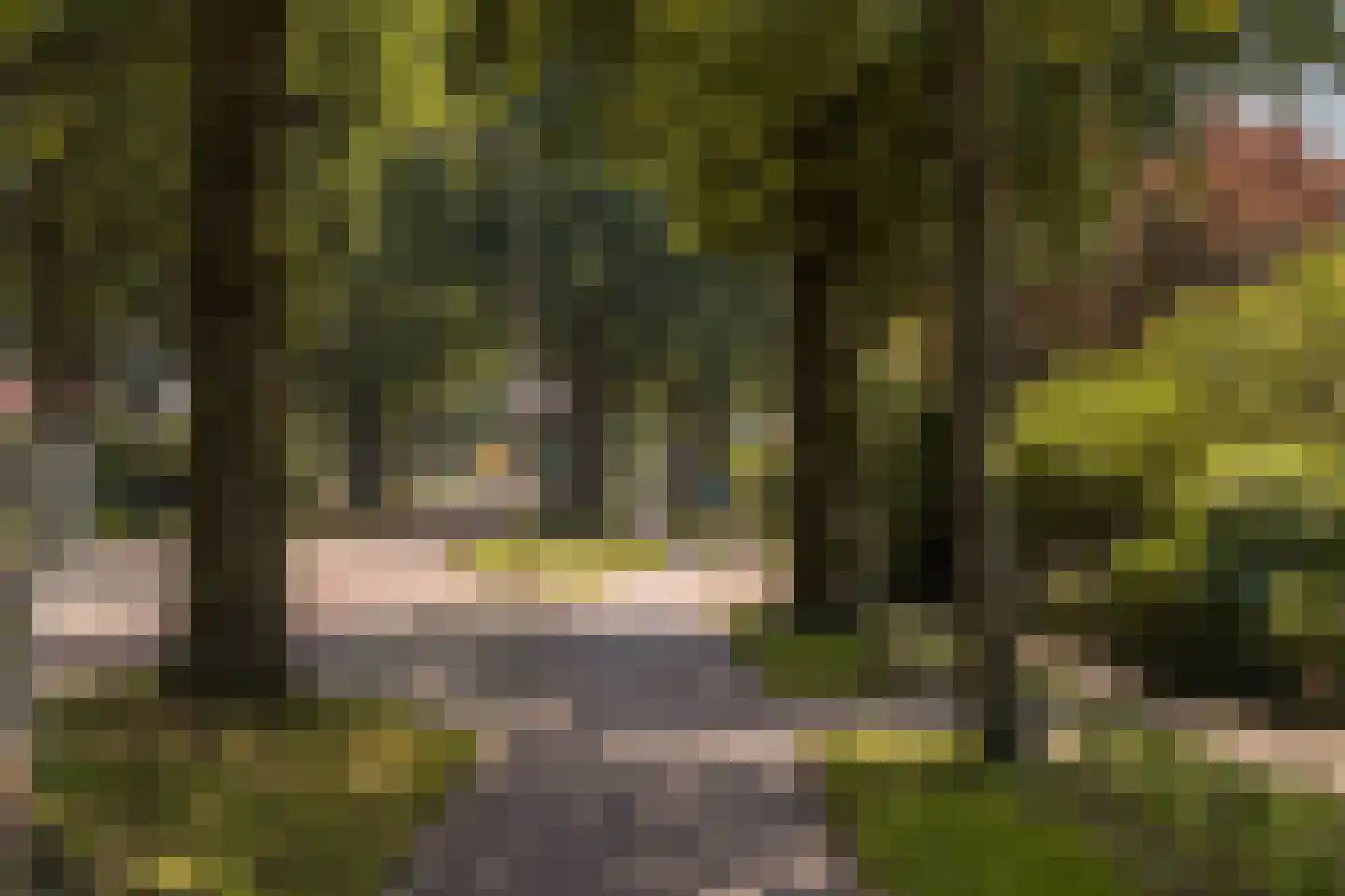 Kon Wilhelminaweg 82 Amerongen thumbnail 67