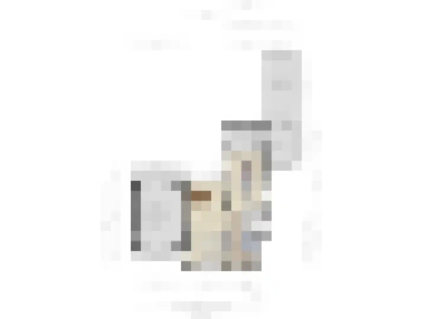 Kon Wilhelminaweg 82 Amerongen thumbnail 68