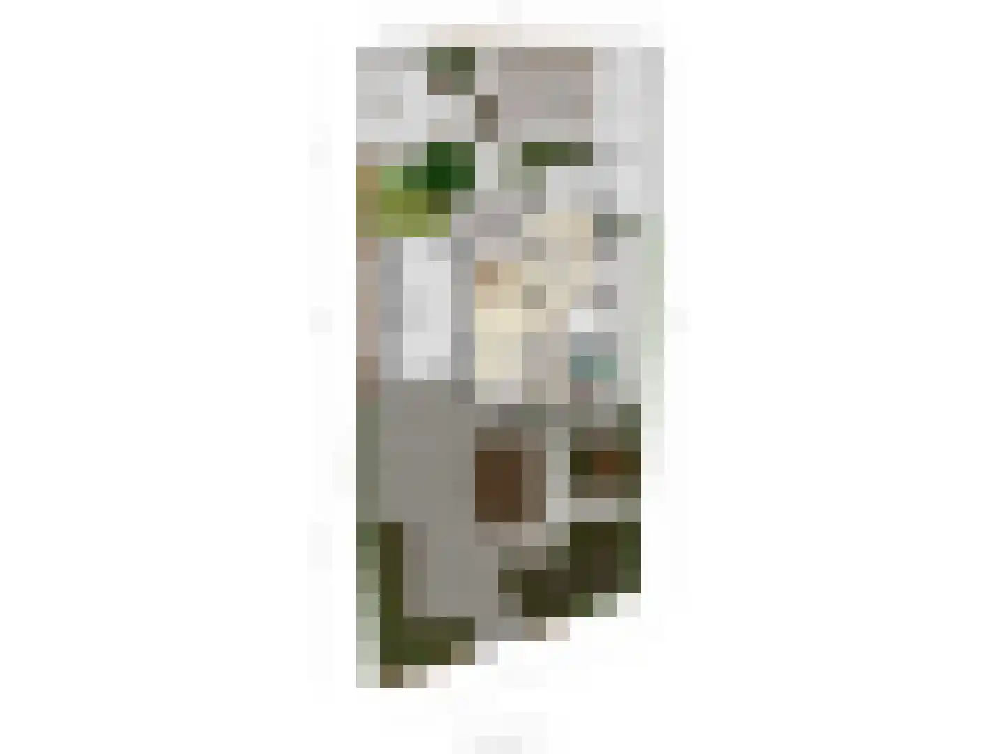 Kon Wilhelminaweg 82 Amerongen thumbnail 71