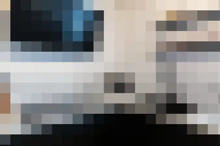 Konijn 14 Hellevoetsluis thumbnail 15