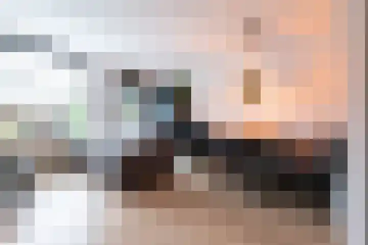 Konijn 14 Hellevoetsluis thumbnail 7