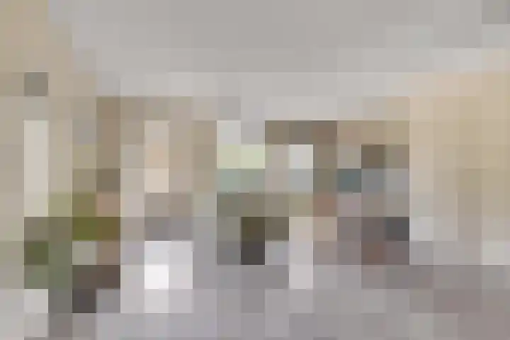 Konijn 16 Hellevoetsluis thumbnail 12