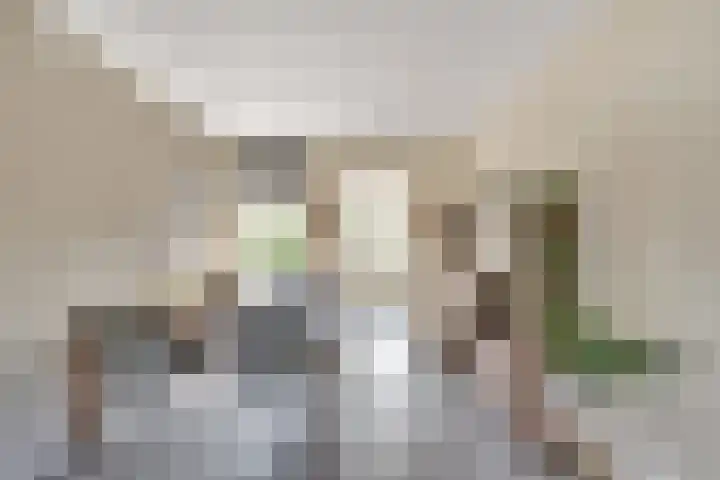 Konijn 16 Hellevoetsluis thumbnail 17