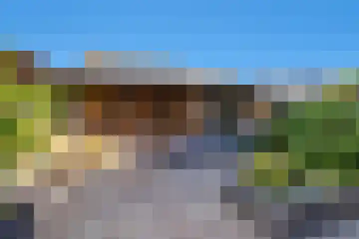 Konijn 16 Hellevoetsluis thumbnail 21