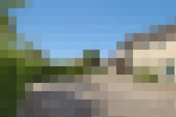 Konijn 16 Hellevoetsluis thumbnail 7