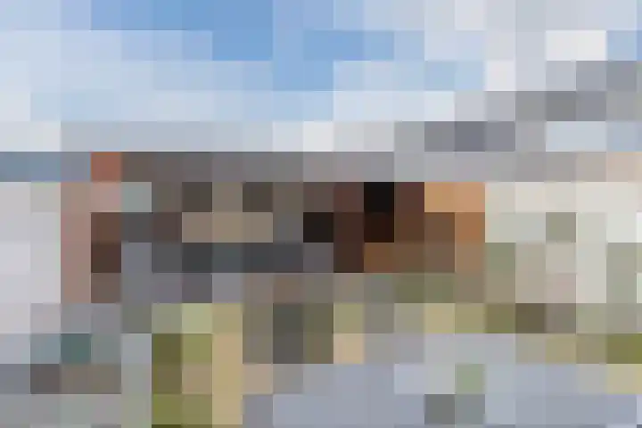 Konijnenberg 15 Halsteren thumbnail 38