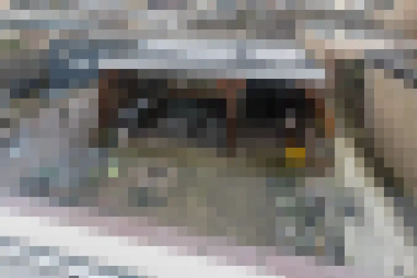 Konijnenberg 15 Halsteren thumbnail 40