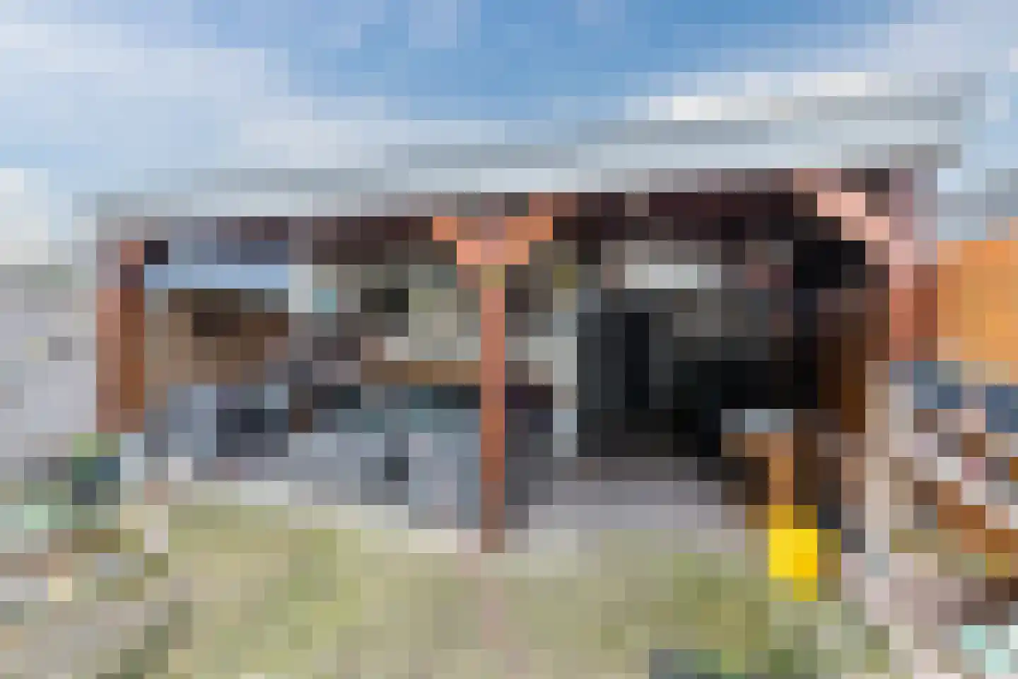 Konijnenberg 15 Halsteren thumbnail 44