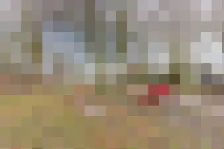 Konijnenberg 15 Halsteren thumbnail 46