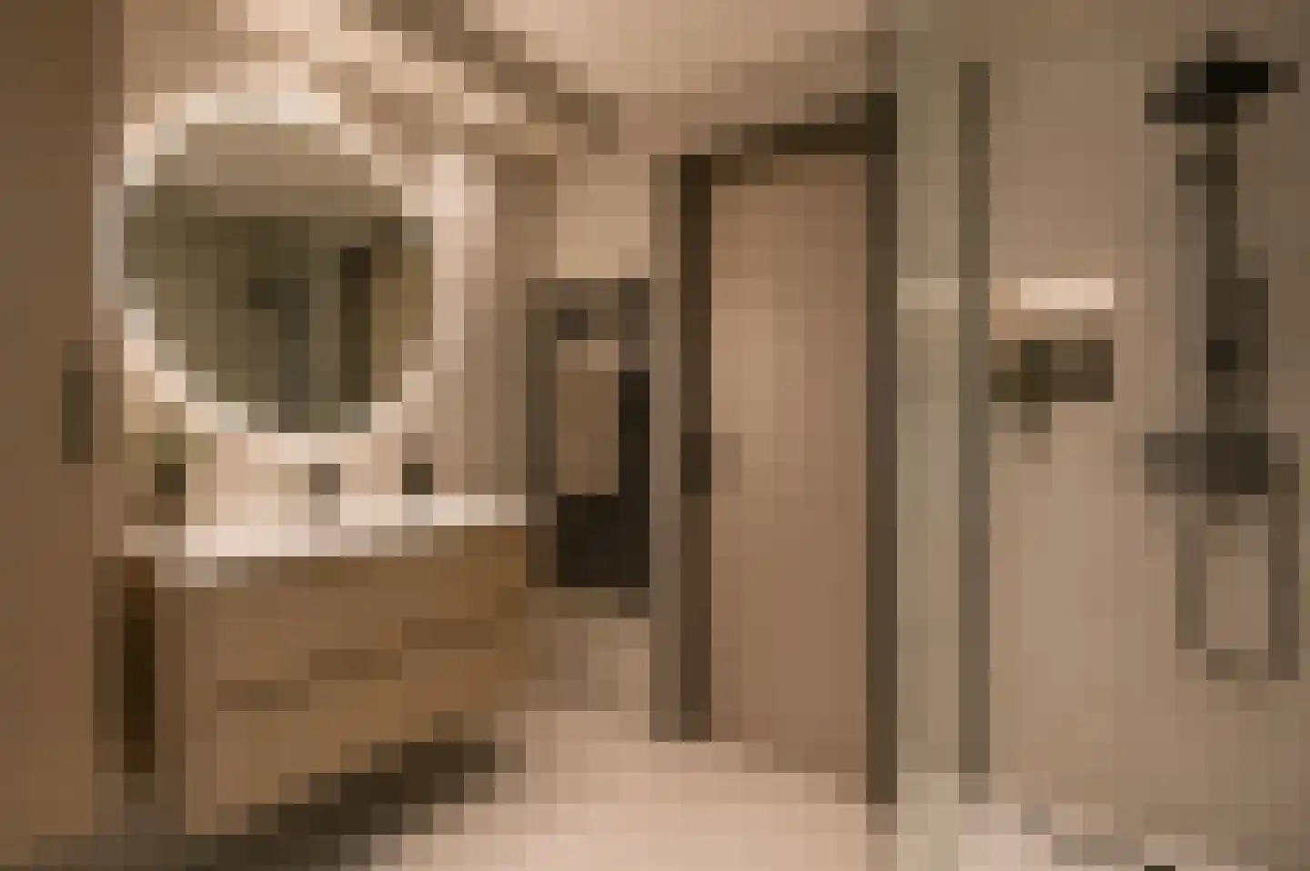 Konijnenberg 15 Halsteren thumbnail 5