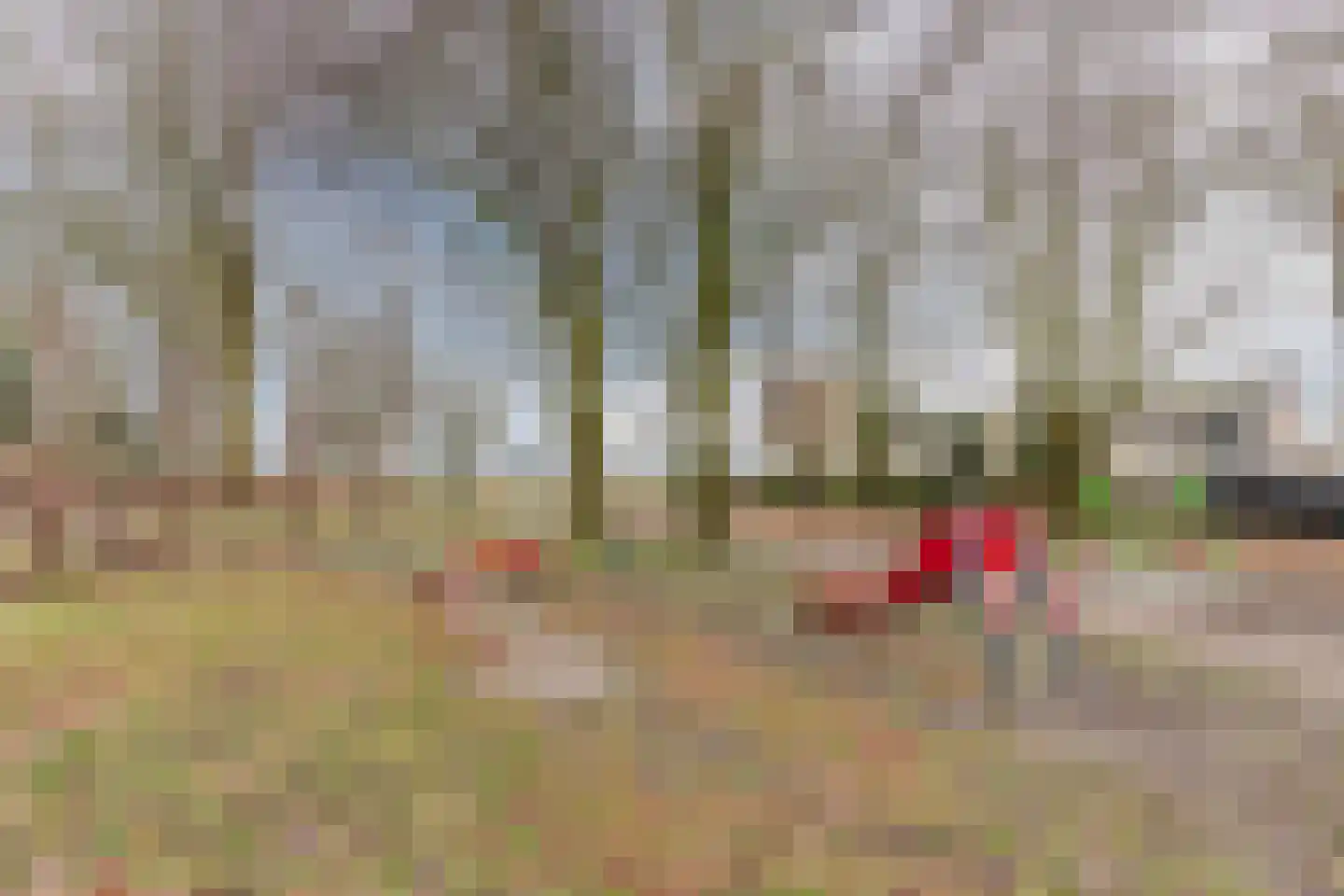 Konijnenberg 15 Halsteren thumbnail 51