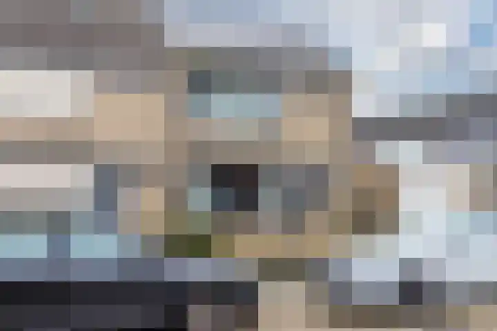 Konijnenberg 15 Halsteren thumbnail 9