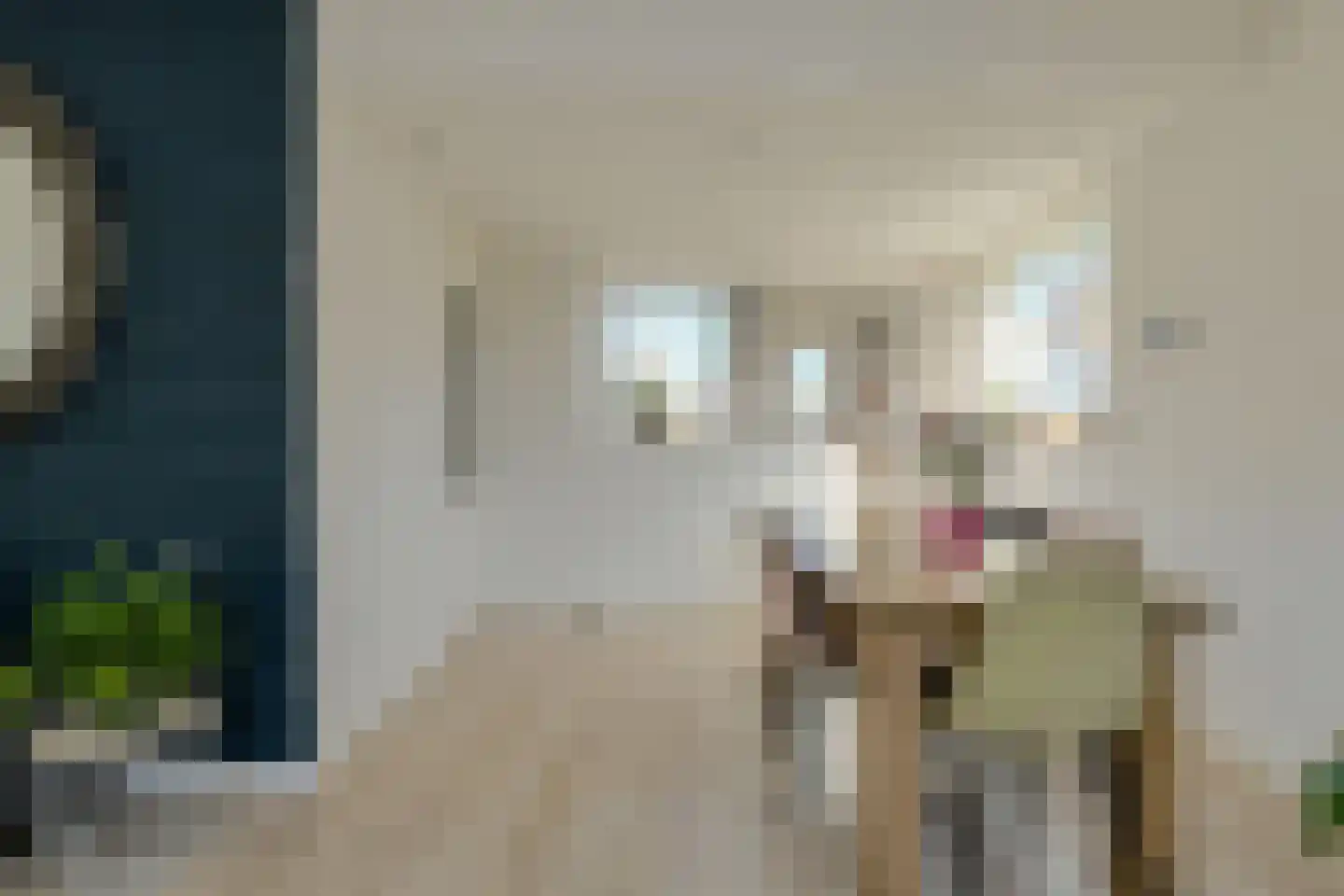 Konijnenberg 22 Etten-Leur thumbnail 11