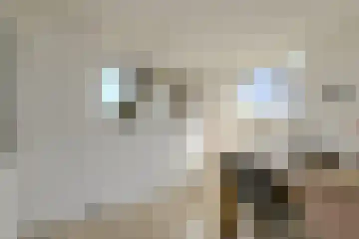 Konijnenberg 22 Etten-Leur thumbnail 13