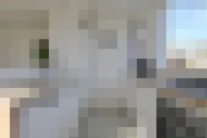 Konijnenberg 22 Etten-Leur thumbnail 15