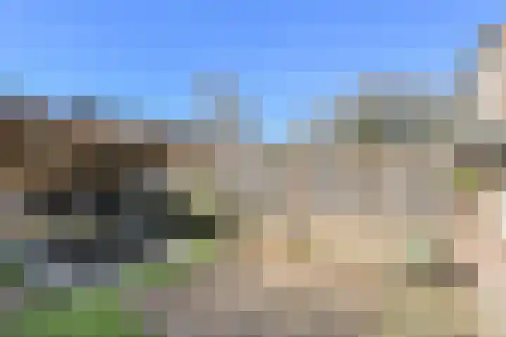 Konijnenberg 22 Etten-Leur thumbnail 42