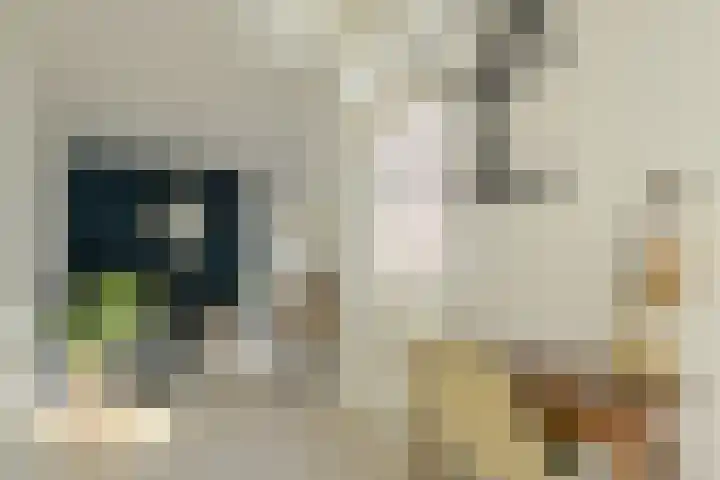 Konijnenberg 22 Etten-Leur thumbnail 8