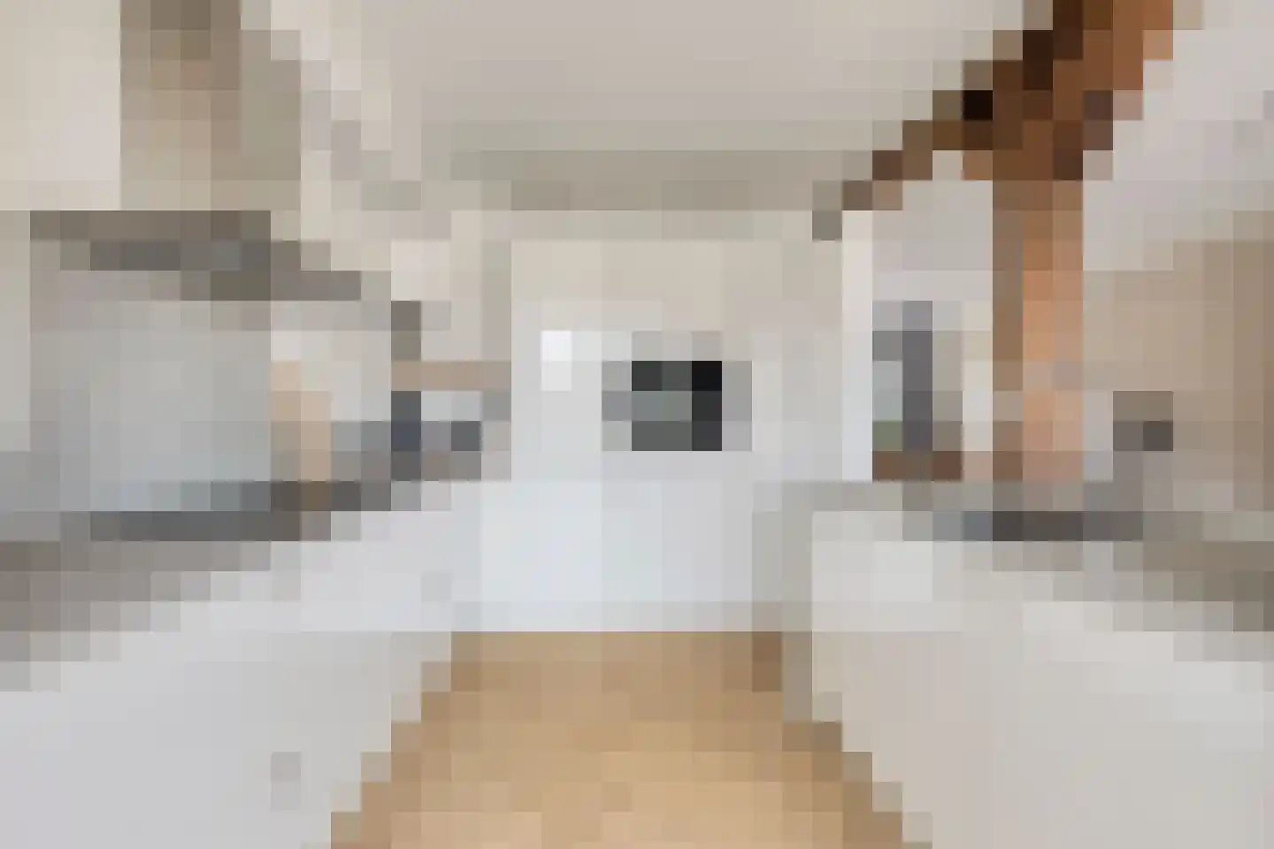 Konijnenberg 27 Halsteren thumbnail 13