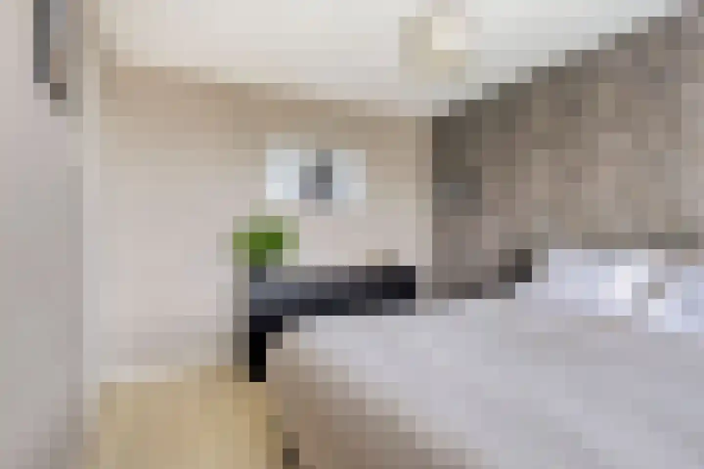 Konijnenberg 27 Halsteren thumbnail 20