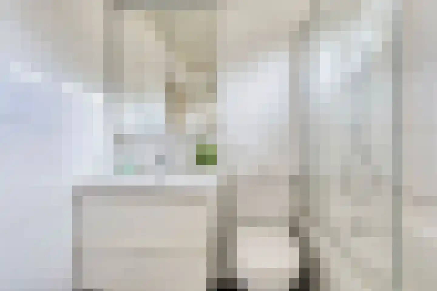 Konijnenberg 27 Halsteren thumbnail 22