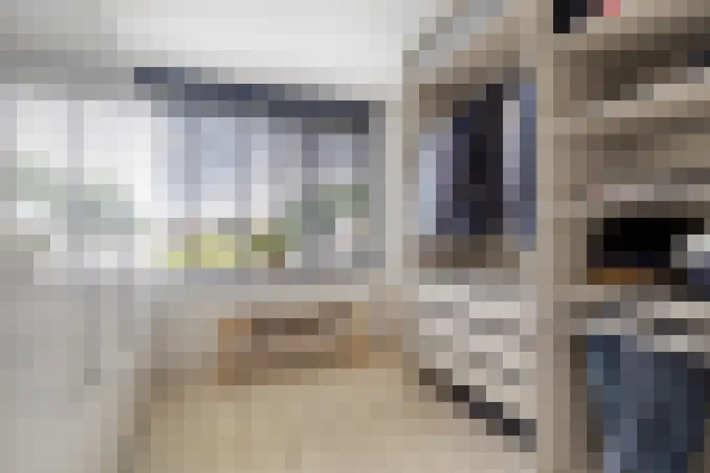 Konijnenberg 27 Halsteren thumbnail 25