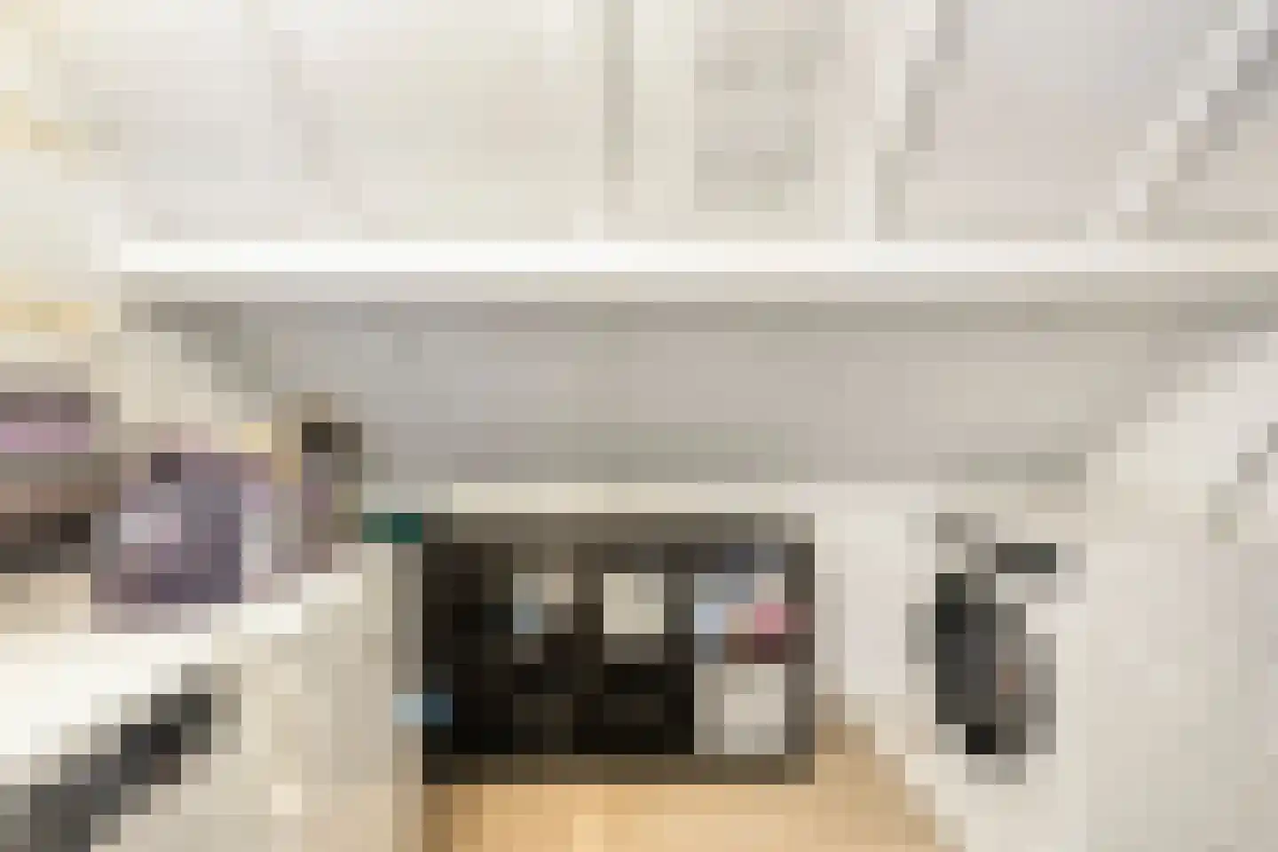 Konijnenberg 27 Halsteren thumbnail 29