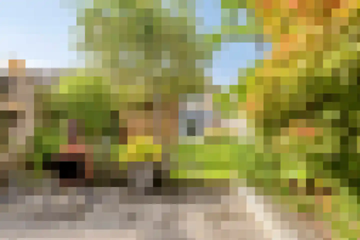 Konijnenberg 27 Halsteren thumbnail 35
