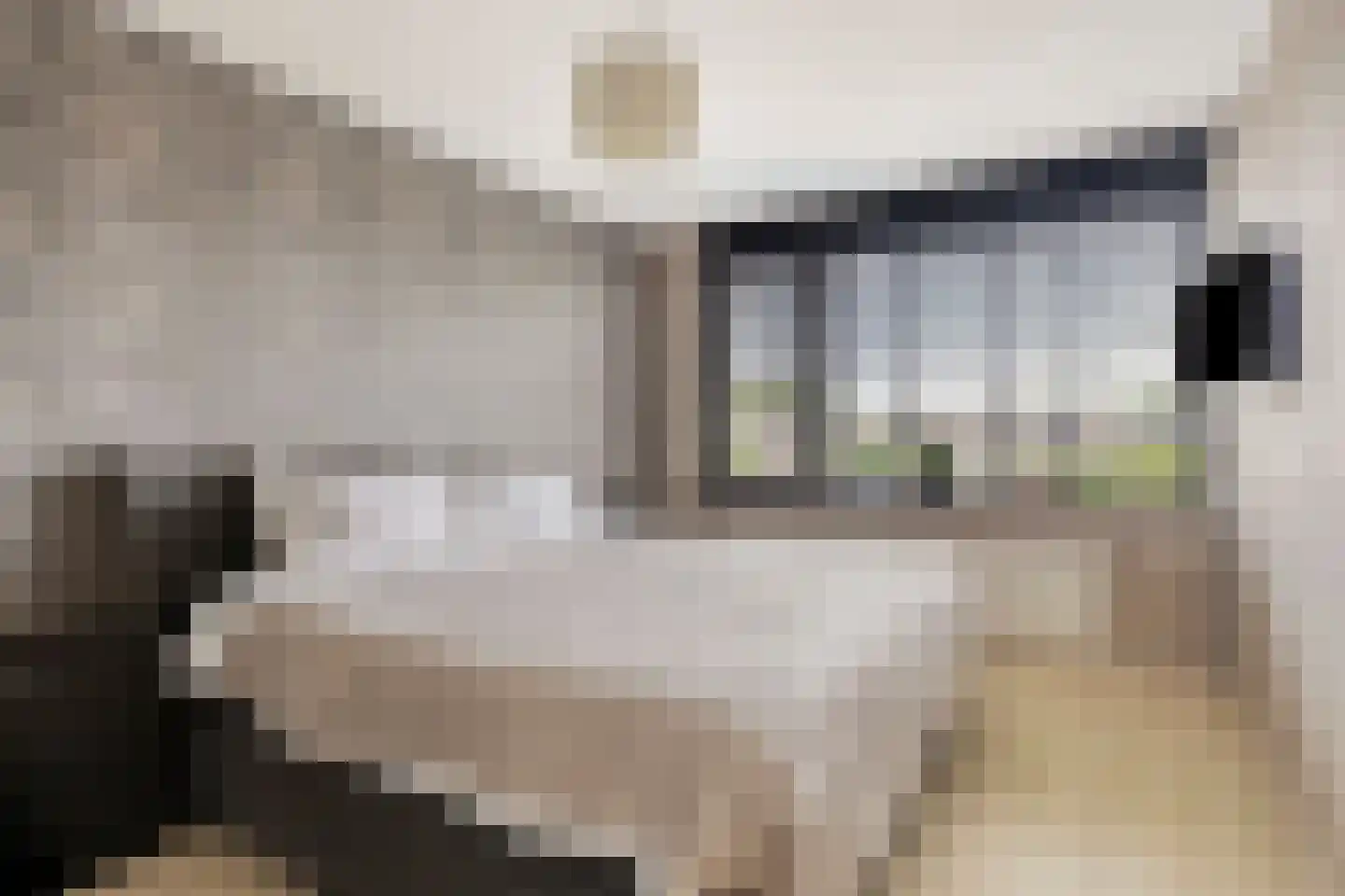 Konijnenberg 27 Halsteren thumbnail 4