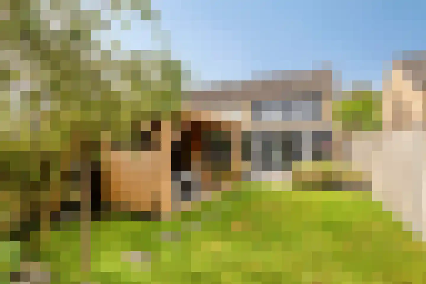 Konijnenberg 27 Halsteren thumbnail 5