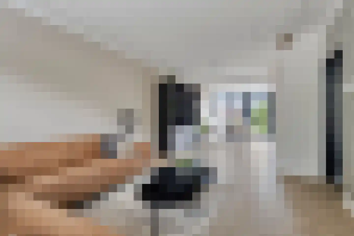 Konijnenberg 27 Halsteren thumbnail 7