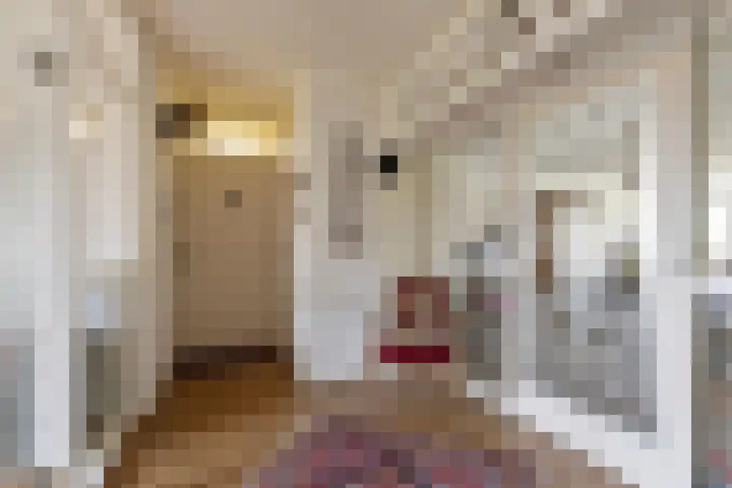 Konijnenberg 30 Halsteren thumbnail 12