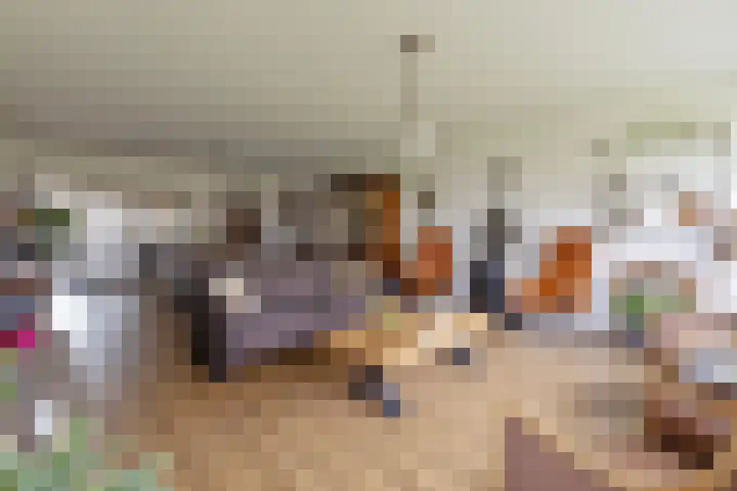 Konijnenberg 30 Halsteren thumbnail 18
