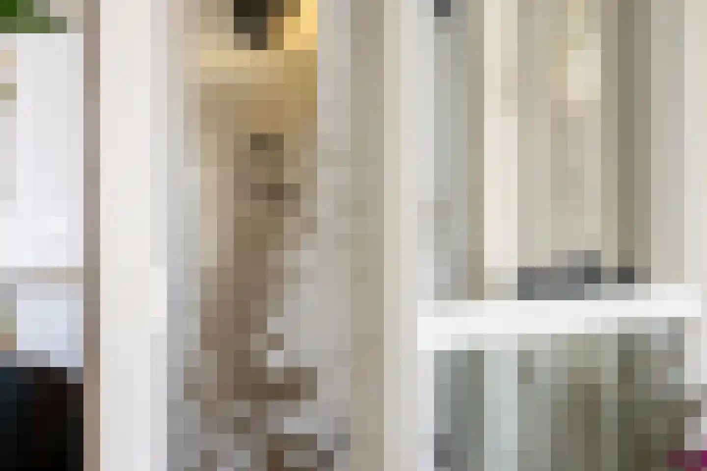 Konijnenberg 30 Halsteren thumbnail 23
