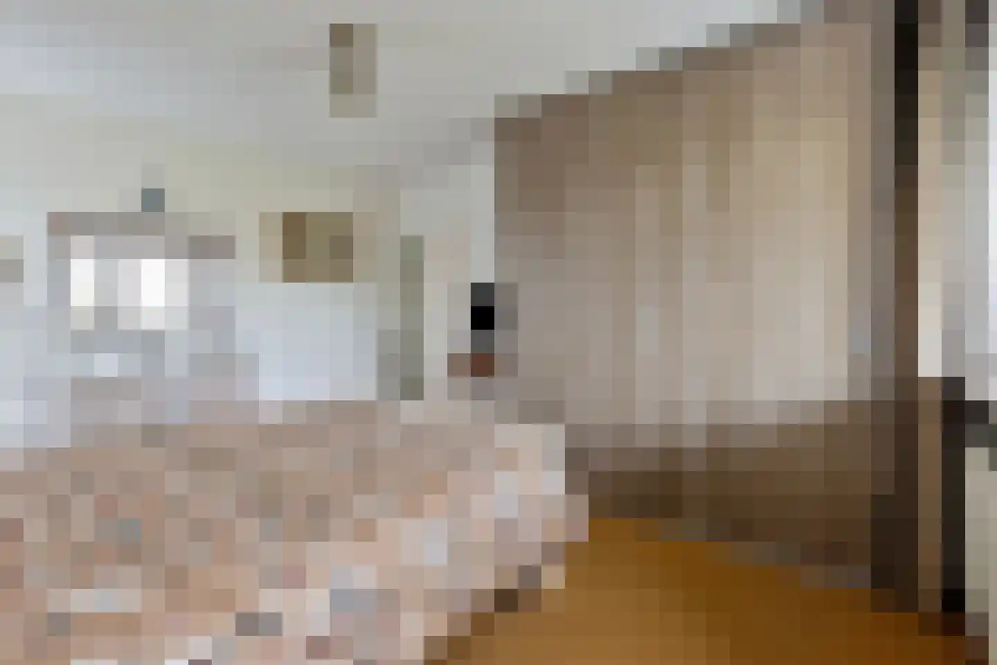 Konijnenberg 30 Halsteren thumbnail 28