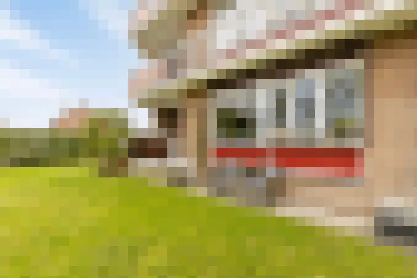Konijnenberg 30 Halsteren thumbnail 34