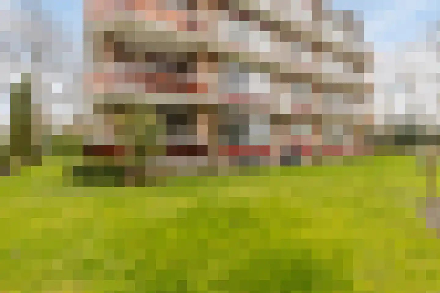 Konijnenberg 30 Halsteren thumbnail 35