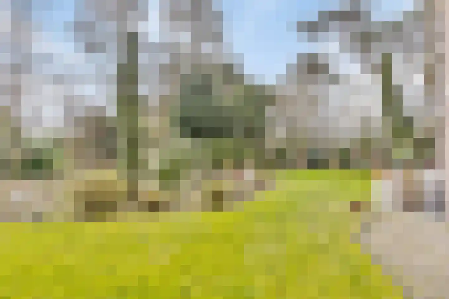 Konijnenberg 30 Halsteren thumbnail 36
