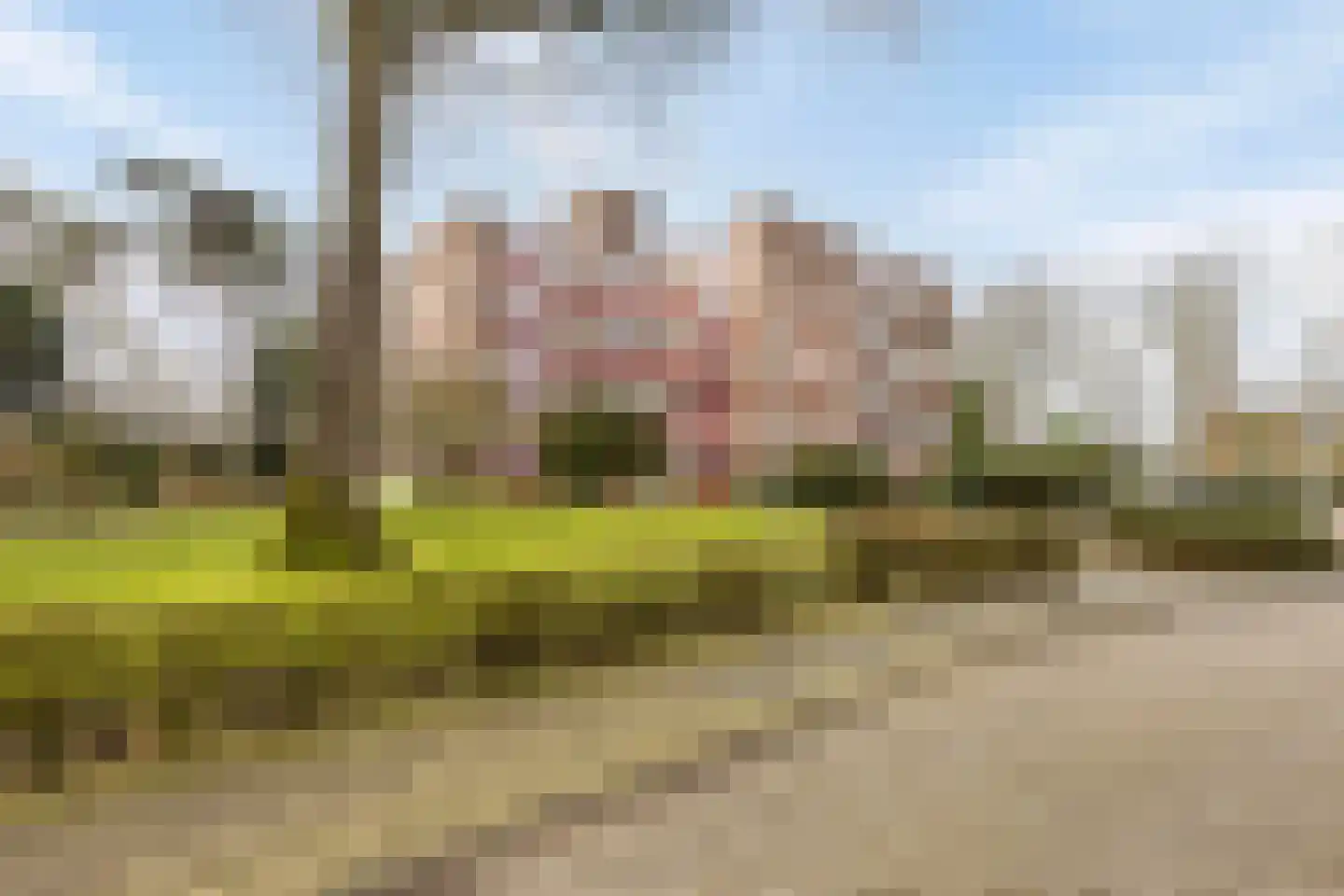 Konijnenberg 30 Halsteren thumbnail 37